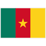 Cameroon flag